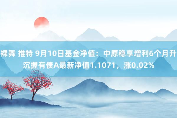 裸舞 推特 9月10日基金净值：中原稳享增利6个月升沉握有债A最新净值1.1071，涨0.02%