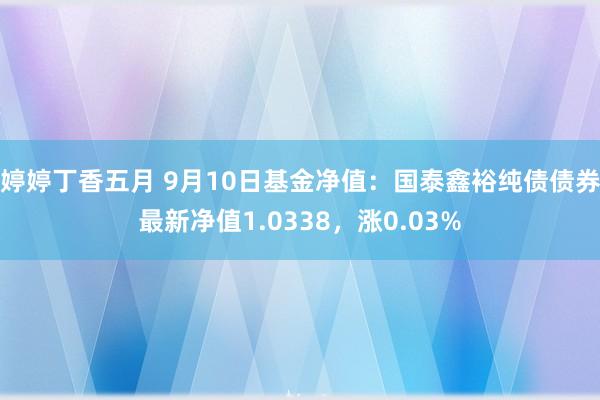 婷婷丁香五月 9月10日基金净值：国泰鑫裕纯债债券最新净值1.0338，涨0.03%