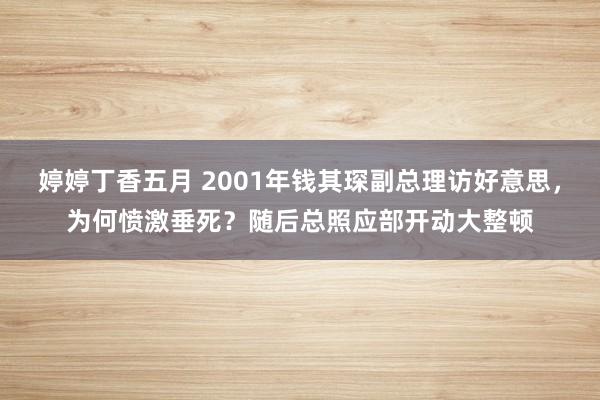 婷婷丁香五月 2001年钱其琛副总理访好意思，为何愤激垂死？随后总照应部开动大整顿