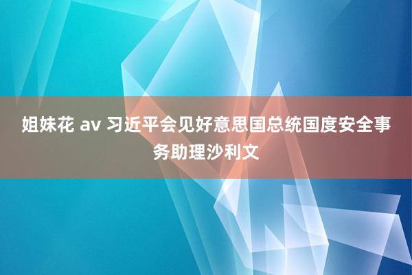 姐妹花 av 习近平会见好意思国总统国度安全事务助理沙利文