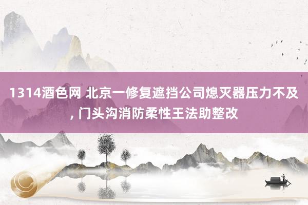 1314酒色网 北京一修复遮挡公司熄灭器压力不及， 门头沟消防柔性王法助整改