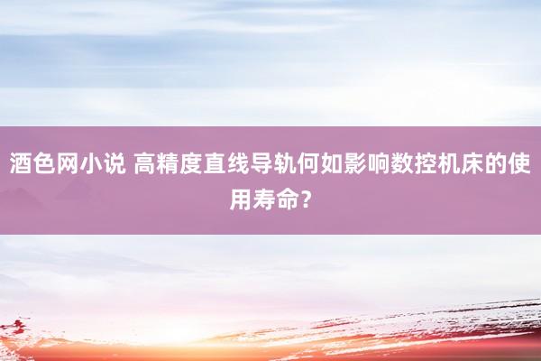 酒色网小说 高精度直线导轨何如影响数控机床的使用寿命？