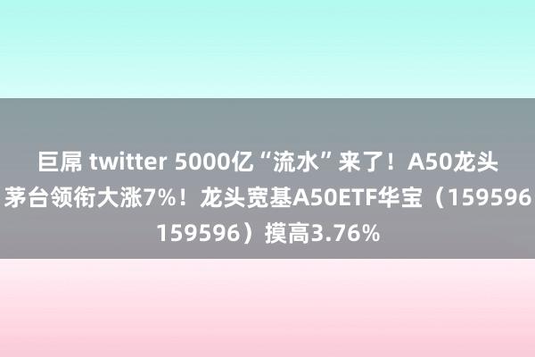 巨屌 twitter 5000亿“流水”来了！A50龙头午后再飙高，茅台领衔大涨7%！龙头宽基A50ETF华宝（159596）摸高3.76%