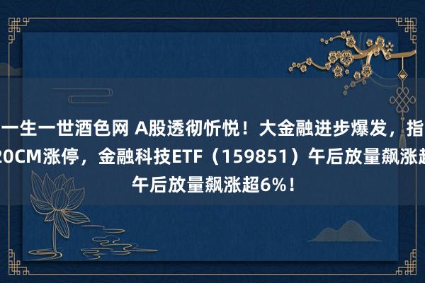 一生一世酒色网 A股透彻忻悦！大金融进步爆发，指南针20CM涨停，金融科技ETF（159851）午后放量飙涨超6%！