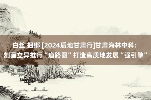 白丝 捆绑 [2024质地甘肃行]甘肃海林中科: 刻画立异推行“道路图”打造高质地发展“强引擎”