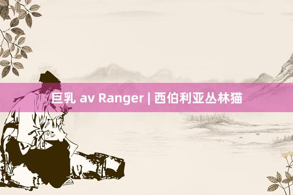 巨乳 av Ranger | 西伯利亚丛林猫