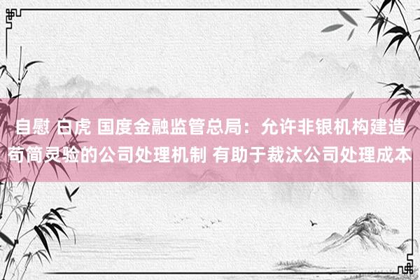 自慰 白虎 国度金融监管总局：允许非银机构建造苟简灵验的公司处理机制 有助于裁汰公司处理成本