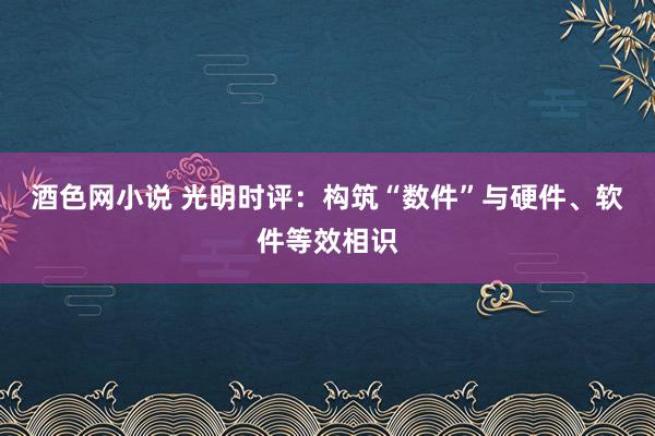 酒色网小说 光明时评：构筑“数件”与硬件、软件等效相识