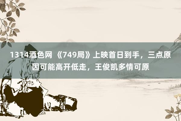 1314酒色网 《749局》上映首日到手，三点原因可能高开低走，王俊凯多情可原