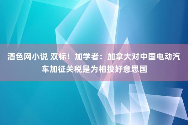 酒色网小说 双标！加学者：加拿大对中国电动汽车加征关税是为相投好意思国