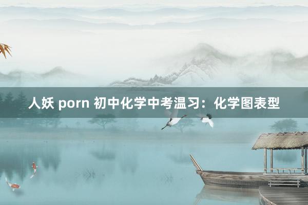 人妖 porn 初中化学中考温习：化学图表型