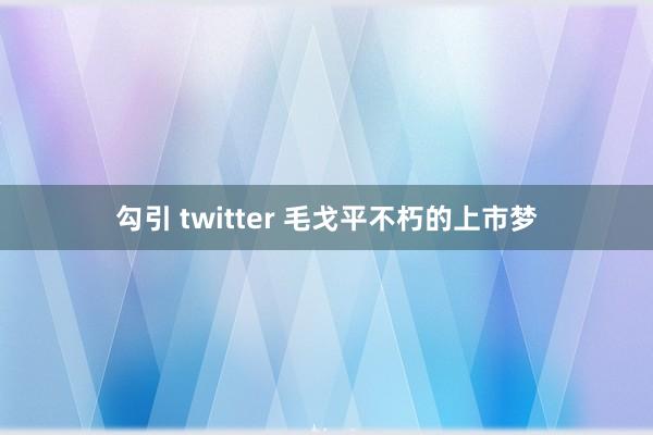 勾引 twitter 毛戈平不朽的上市梦