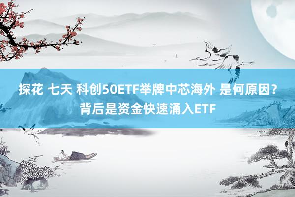 探花 七天 科创50ETF举牌中芯海外 是何原因？背后是资金快速涌入ETF