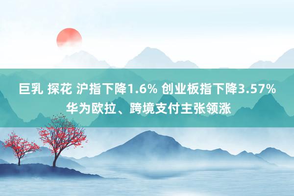 巨乳 探花 沪指下降1.6% 创业板指下降3.57% 华为欧拉、跨境支付主张领涨