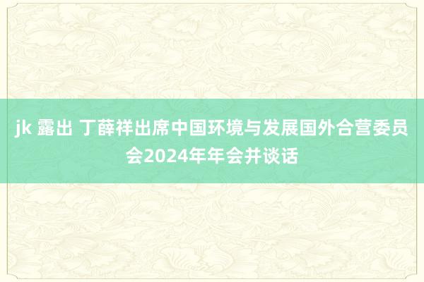 jk 露出 丁薛祥出席中国环境与发展国外合营委员会2024年年会并谈话