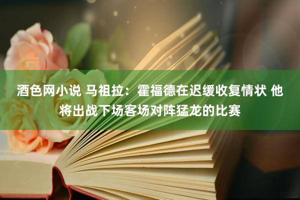 酒色网小说 马祖拉：霍福德在迟缓收复情状 他将出战下场客场对阵猛龙的比赛