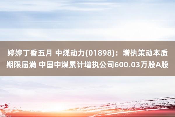 婷婷丁香五月 中煤动力(01898)：增执策动本质期限届满 中国中煤累计增执公司600.03万股A股