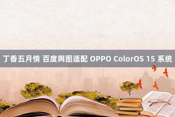 丁香五月情 百度舆图适配 OPPO ColorOS 15 系统