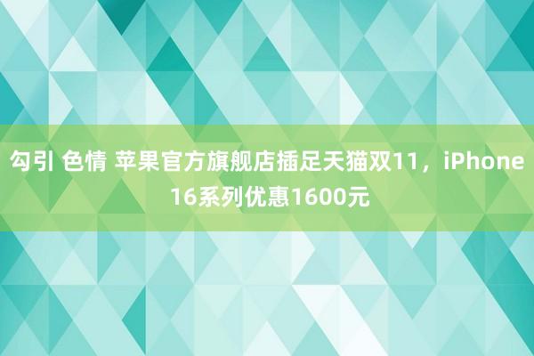 勾引 色情 苹果官方旗舰店插足天猫双11，iPhone 16系列优惠1600元