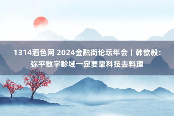 1314酒色网 2024金融街论坛年会丨韩歆毅：弥平数字畛域一定要靠科技去料理