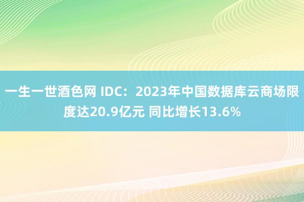 一生一世酒色网 IDC：2023年中国数据库云商场限度达20.9亿元 同比增长13.6%