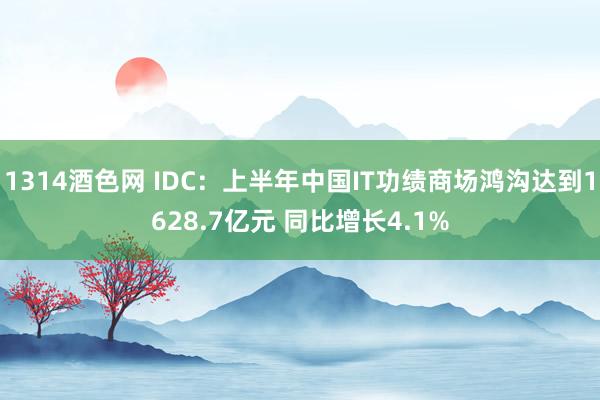 1314酒色网 IDC：上半年中国IT功绩商场鸿沟达到1628.7亿元 同比增长4.1%