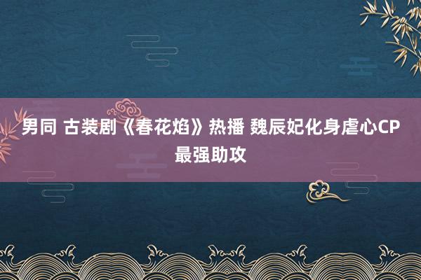 男同 古装剧《春花焰》热播 魏辰妃化身虐心CP最强助攻