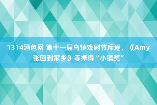 1314酒色网 第十一届乌镇戏剧节斥逐，《Amy张回到家乡》等捧得“小镇奖”