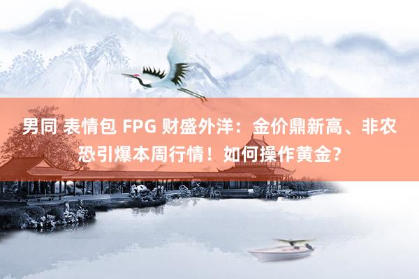 男同 表情包 FPG 财盛外洋：金价鼎新高、非农恐引爆本周行情！如何操作黄金？