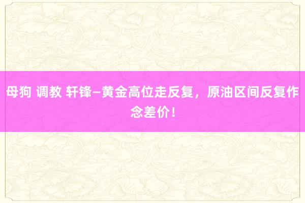 母狗 调教 轩锋—黄金高位走反复，原油区间反复作念差价！