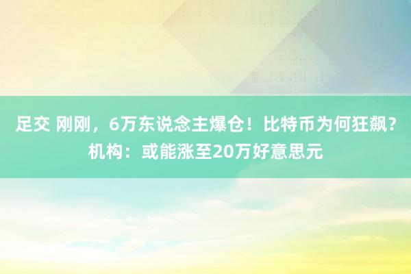 足交 刚刚，6万东说念主爆仓！比特币为何狂飙？机构：或能涨至20万好意思元