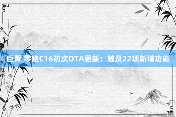 巨臀 零跑C16初次OTA更新：触及22项新增功能