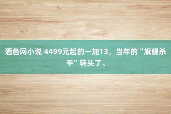 酒色网小说 4499元起的一加13，当年的“旗舰杀手”转头了。