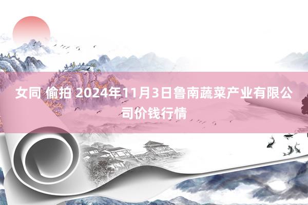 女同 偷拍 2024年11月3日鲁南蔬菜产业有限公司价钱行情