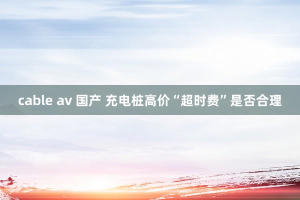 cable av 国产 充电桩高价“超时费”是否合理