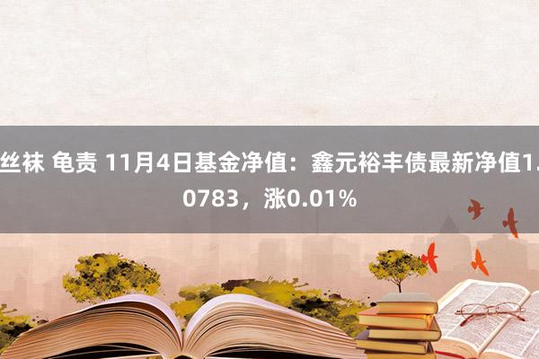 丝袜 龟责 11月4日基金净值：鑫元裕丰债最新净值1.0783，涨0.01%