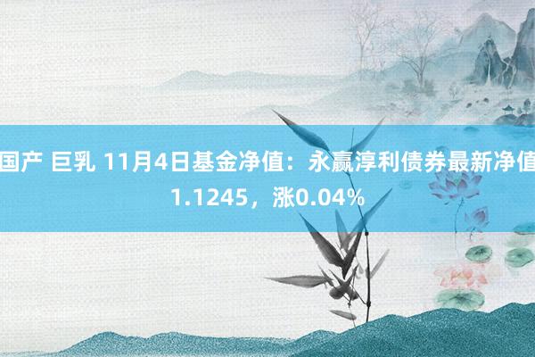 国产 巨乳 11月4日基金净值：永赢淳利债券最新净值1.1245，涨0.04%