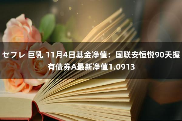 セフレ 巨乳 11月4日基金净值：国联安恒悦90天握有债券A最新净值1.0913