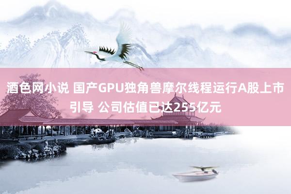 酒色网小说 国产GPU独角兽摩尔线程运行A股上市引导 公司估值已达255亿元