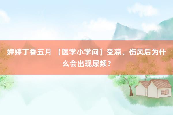 婷婷丁香五月 【医学小学问】受凉、伤风后为什么会出现尿频？