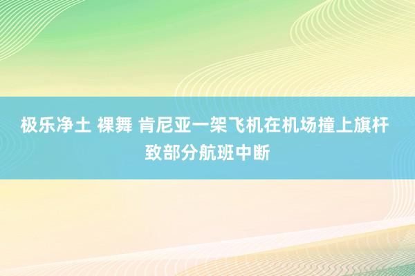 极乐净土 裸舞 肯尼亚一架飞机在机场撞上旗杆 致部分航班中断