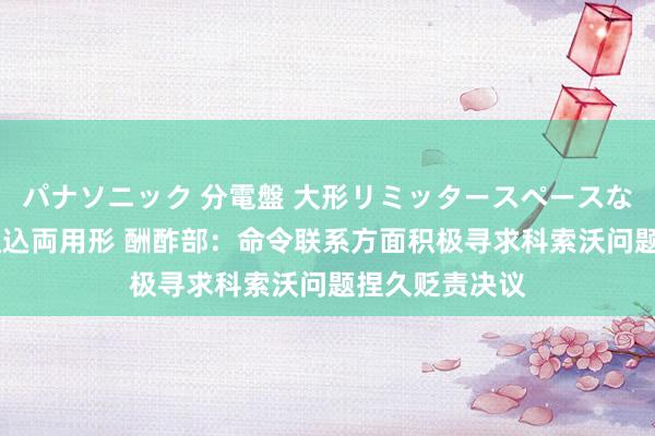 パナソニック 分電盤 大形リミッタースペースなし 露出・半埋込両用形 酬酢部：命令联系方面积极寻求科索沃问题捏久贬责决议