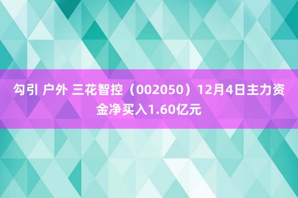 勾引 户外 三花智控（002050）12月4日主力资金净买入1.60亿元