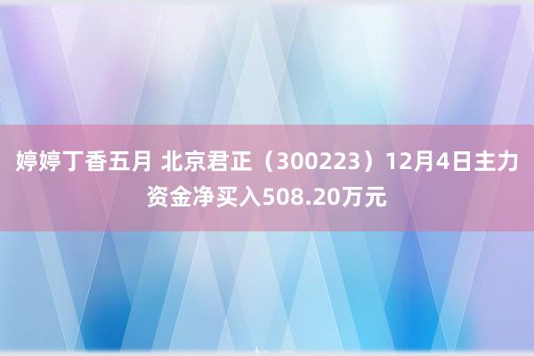 婷婷丁香五月 北京君正（300223）12月4日主力资金净买入508.20万元