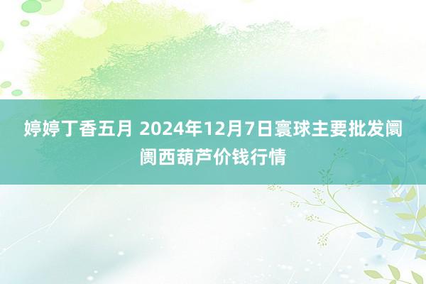 婷婷丁香五月 2024年12月7日寰球主要批发阛阓西葫芦价钱行情