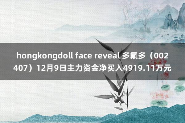 hongkongdoll face reveal 多氟多（002407）12月9日主力资金净买入4919.11万元