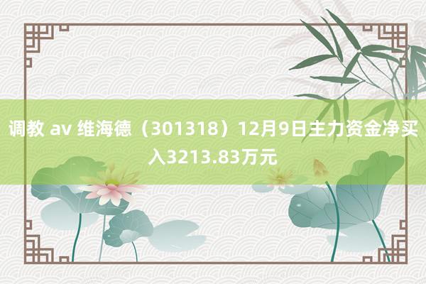 调教 av 维海德（301318）12月9日主力资金净买入3213.83万元