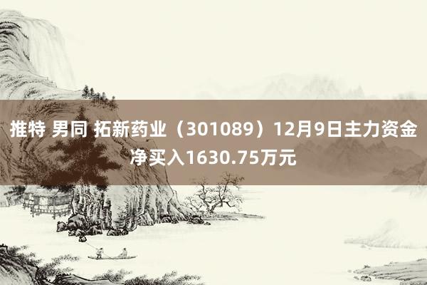 推特 男同 拓新药业（301089）12月9日主力资金净买入1630.75万元