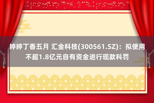 婷婷丁香五月 汇金科技(300561.SZ)：拟使用不超1.8亿元自有资金进行现款科罚