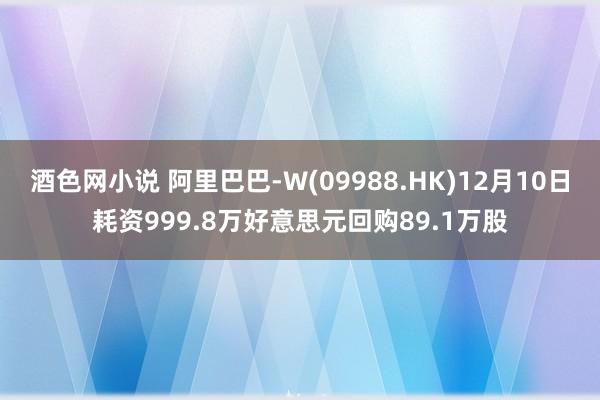 酒色网小说 阿里巴巴-W(09988.HK)12月10日耗资999.8万好意思元回购89.1万股